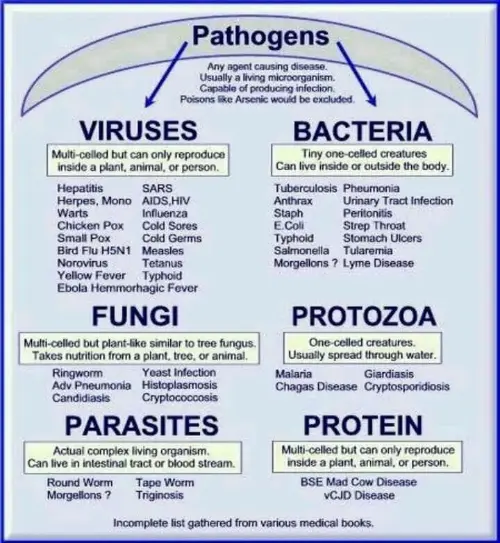 Pathogen infographic