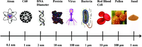 Cell sizes