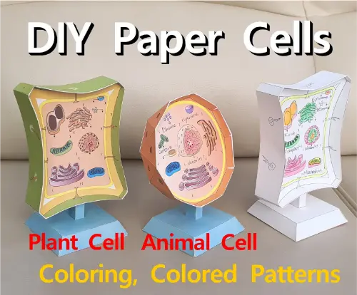 DNA Paper Cells