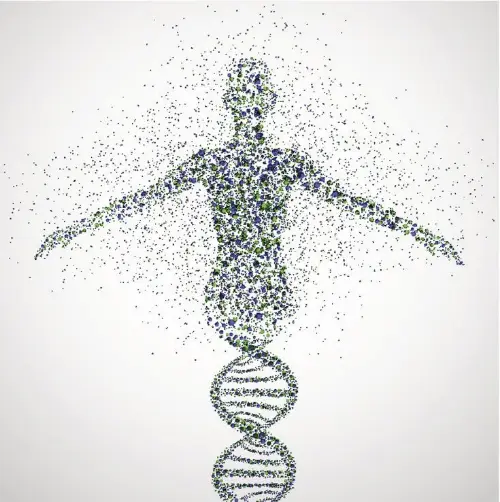 Human genome project