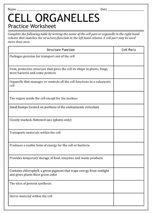 Cell organelles worksheet