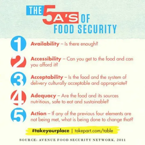 The 5 As of food security