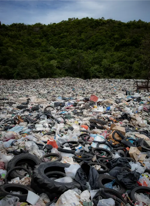 Lots of waste material, which is pollution