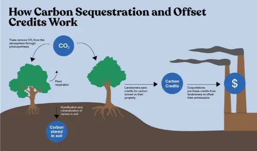 Artificial carbon sequestering, moving the carbon to the upper crust
