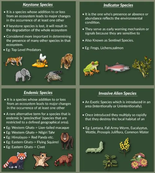Types of species, including keystone, endemic and invasive ones