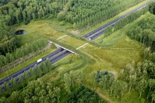 A wildlife bridge spans a road