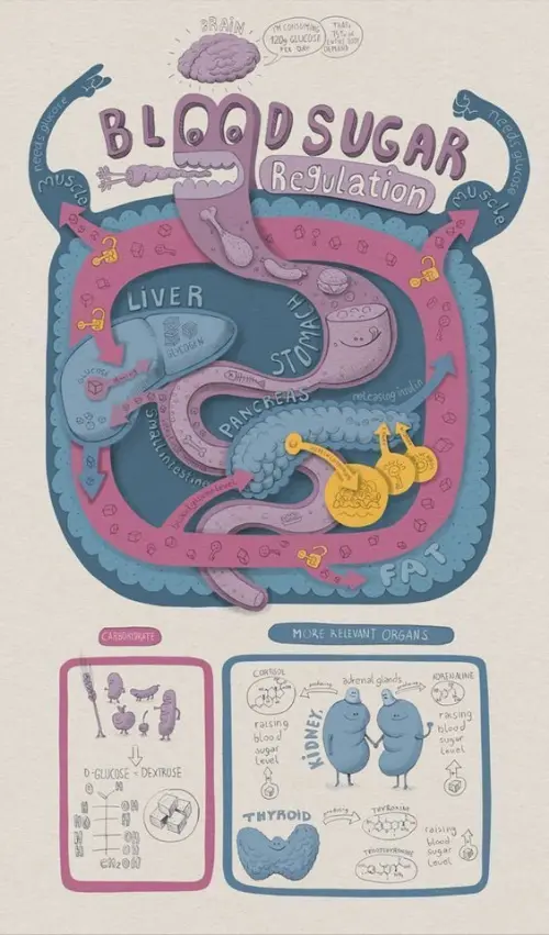 Blood sugar regulation