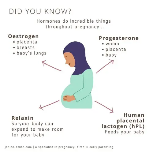 Hormones work wonders during pregnancy
