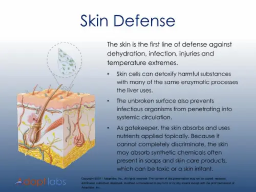 The skin is the first line of defence