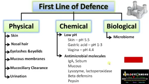 Three lines of defence