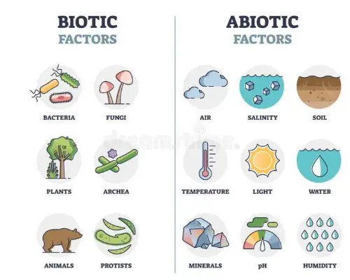 Alternative image of biotic and abiotic factors