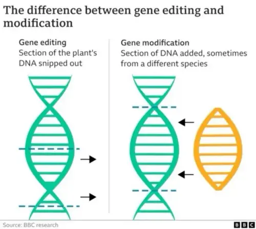 Editing vs modification