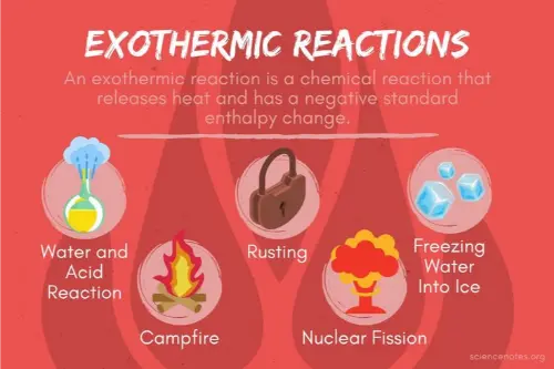 Examples of exothermic reaction