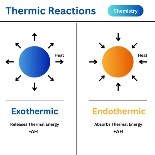 Explanation of thermic reactions
