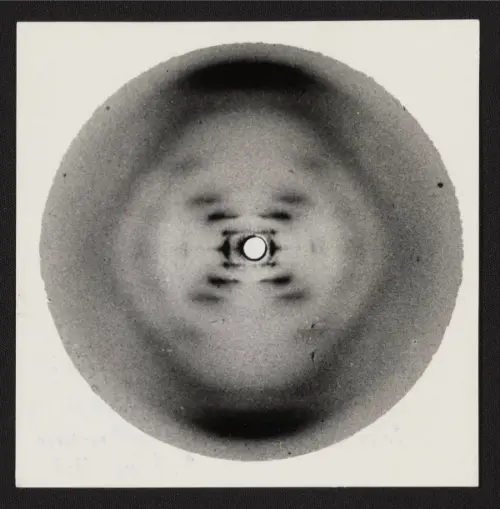 Picture 51, which helped Watson and Crick find the double helix