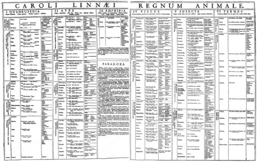 The Regnum Animale, a document produced by Linnaeus