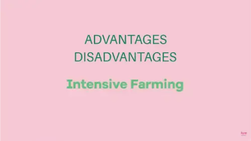 Watch this video from Fuse School on YouTube