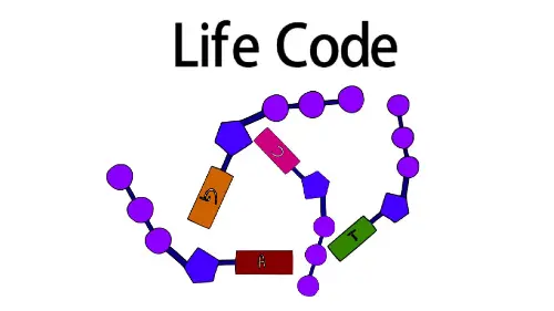 Youtube still of video