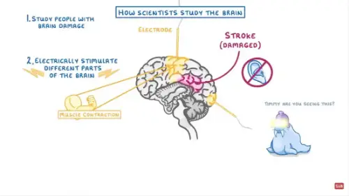 Watch this video from Cognito on YouTube