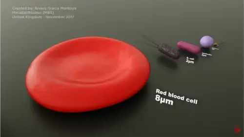Watch this video from Metal Ball Studios on YouTube