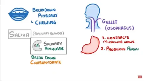 Watch this video from Cognito on YouTube