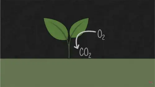 Watch this video from NATC on YouTube