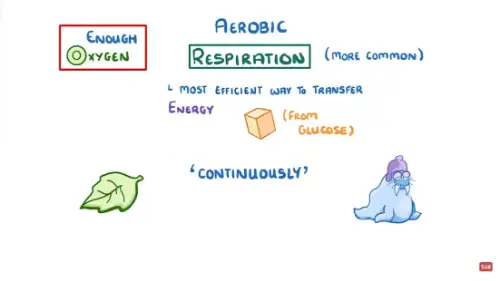 Watch this video from NATC on YouTube