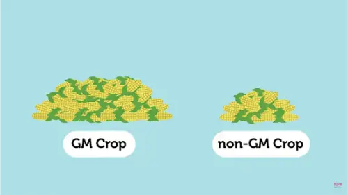 Watch this video from Fuse School on YouTube