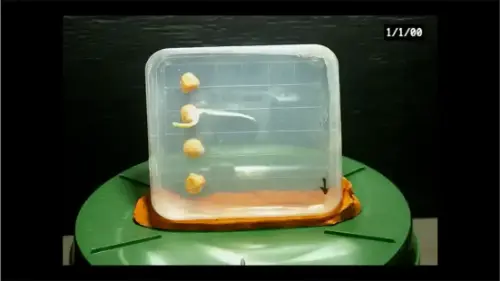 Watch this video from Erin on YouTube