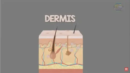 Watch this video from EarthPen on YouTube