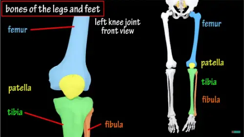 Watch this video from NATC on YouTube