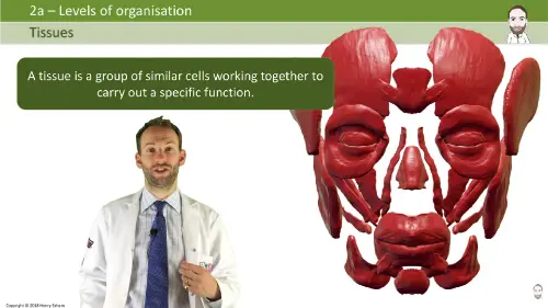 Youtube still of video