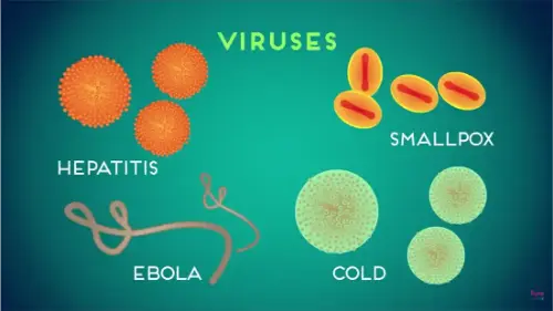 Watch this video from Fuse School on YouTube