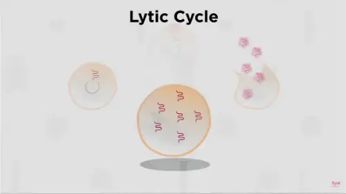 Watch this video from Fuse School on YouTube