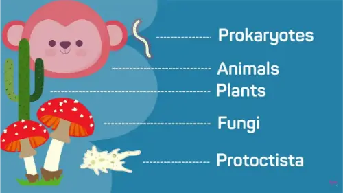 Watch this video from Fuse School on YouTube