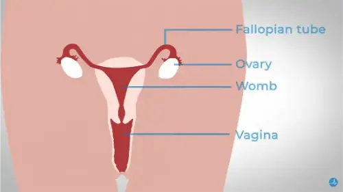 Watch this video from Bupa Health on YouTube