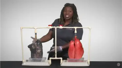 Watch this video from Better Health on YouTube