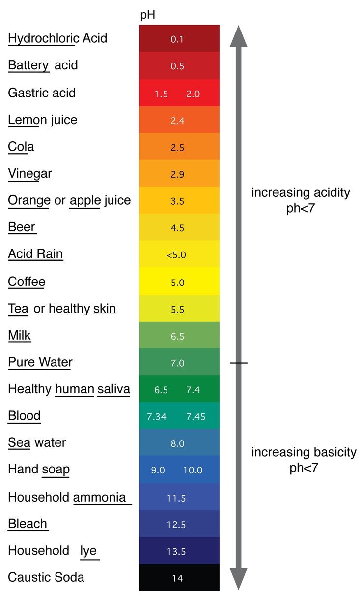 The Digestive System, a system that helps us to break down our food ...